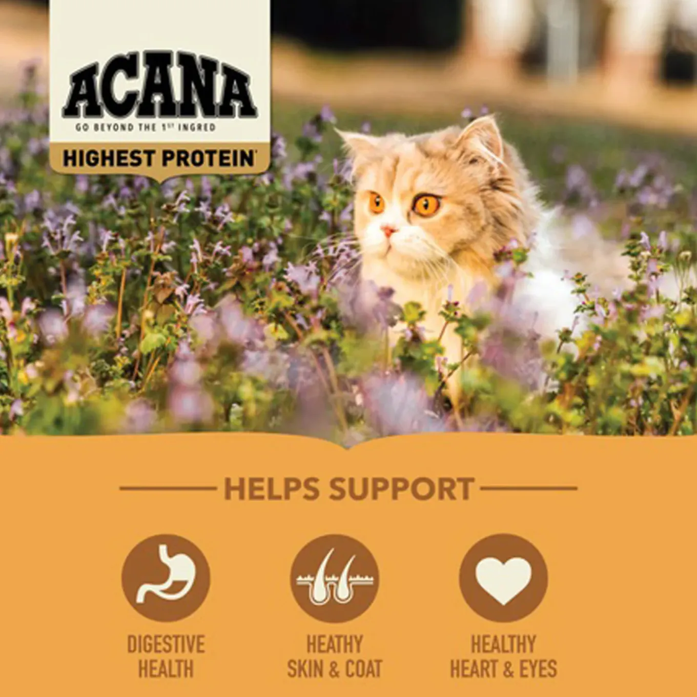 ACANA Regionals Grain-Free Dry Cat Food