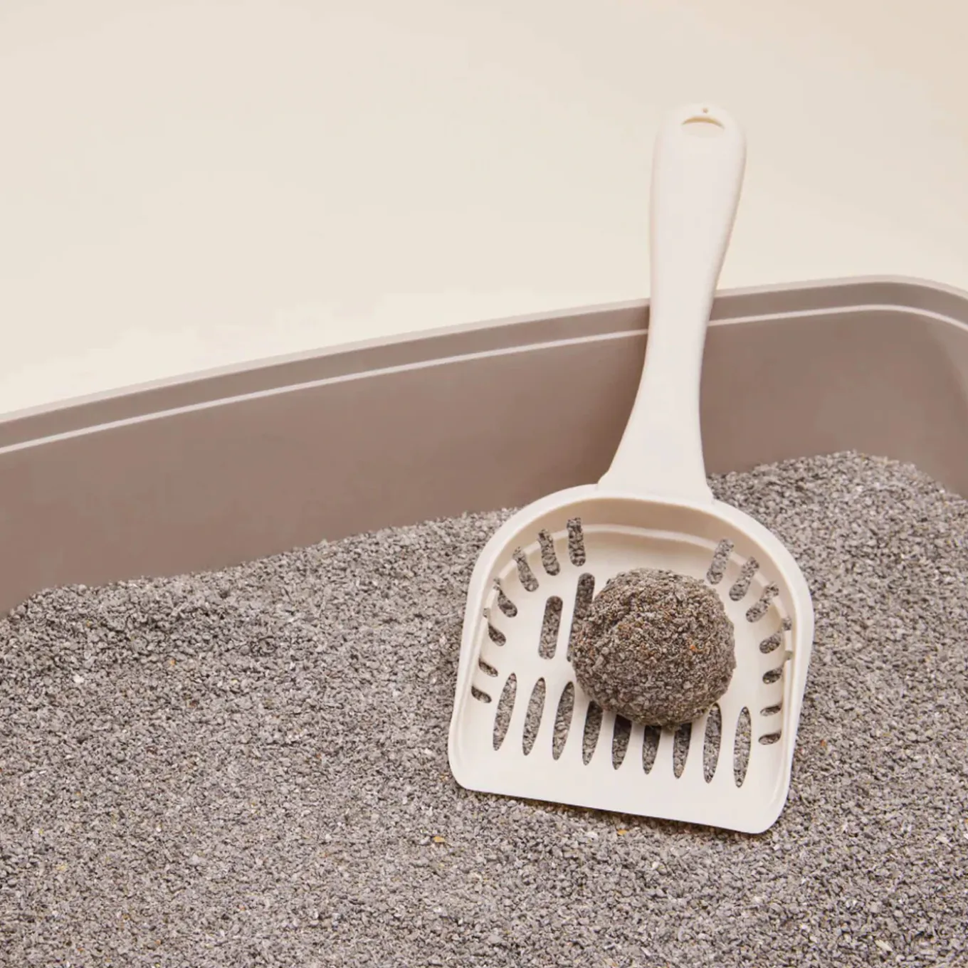 Boxiecat Air Extra Strength Multi-Cat Lightweight Plant-Based Cat Litter
