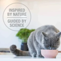 Feline Natural Grain-Free Freeze Dried Raw Cat Food