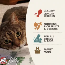 Fromm Four Star Chicken Au Frommage Grain Free Recipe Dry Cat Food