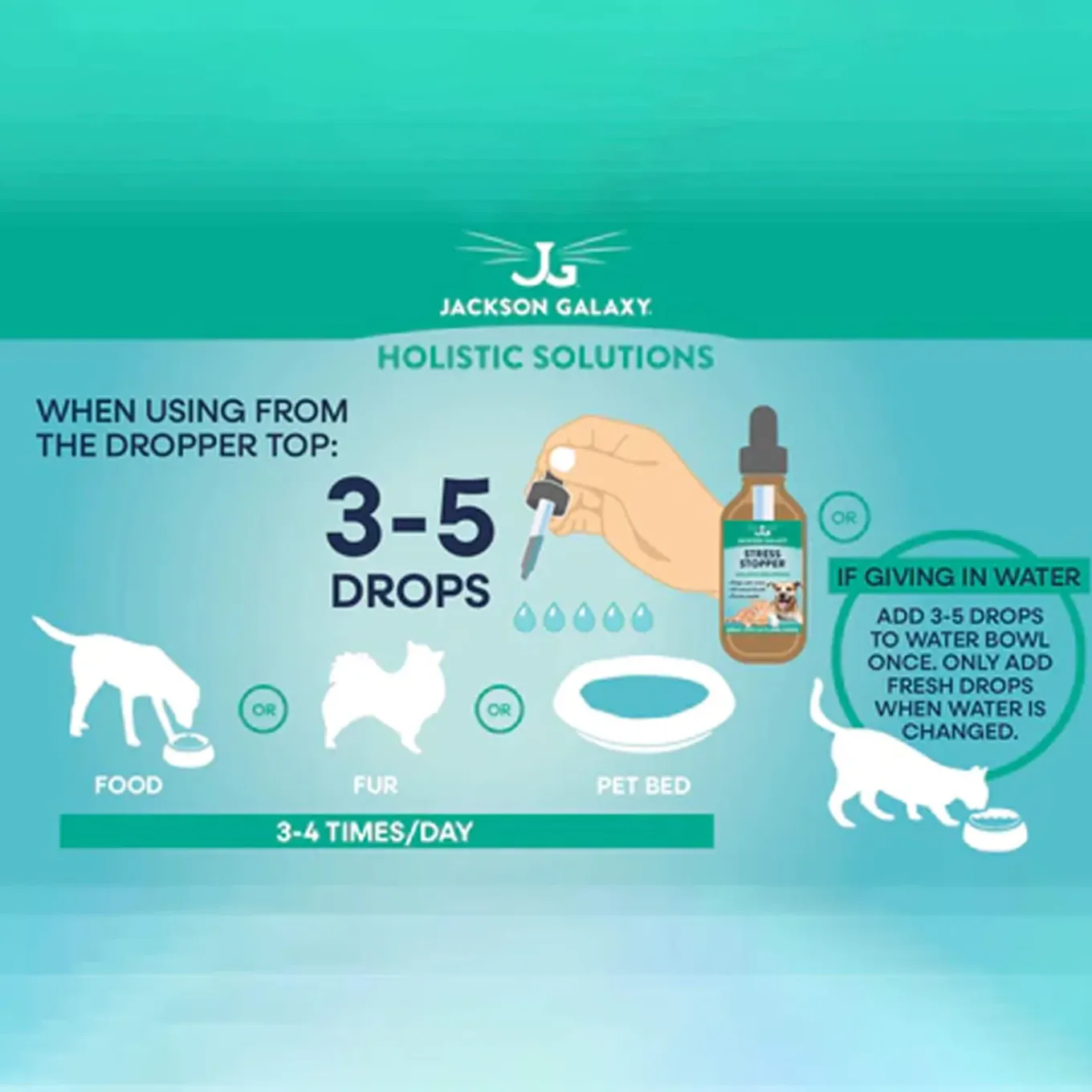 Jackson Galaxy Obsession Remedy for Cats