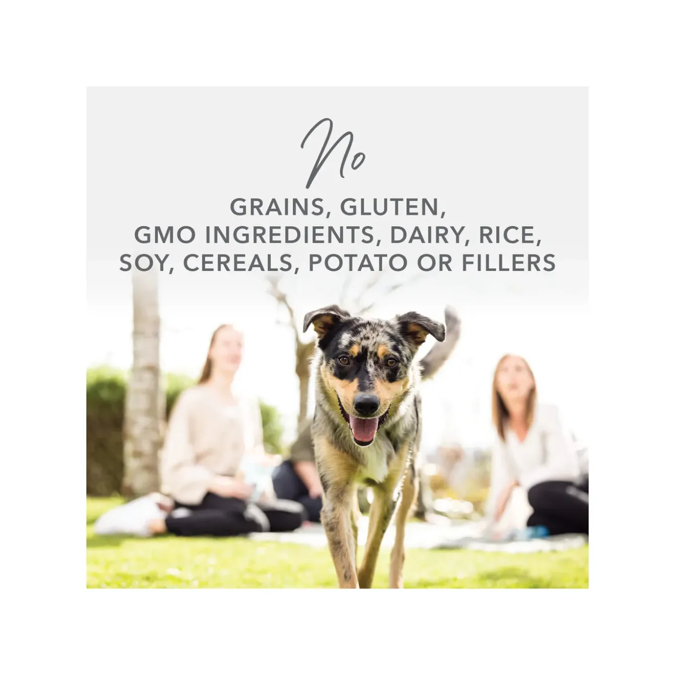 K9 Natural Freeze Dried Dog Treats