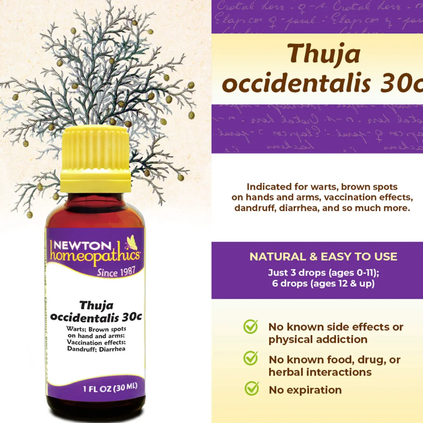 Newton Homeopathics Thuja for Dogs