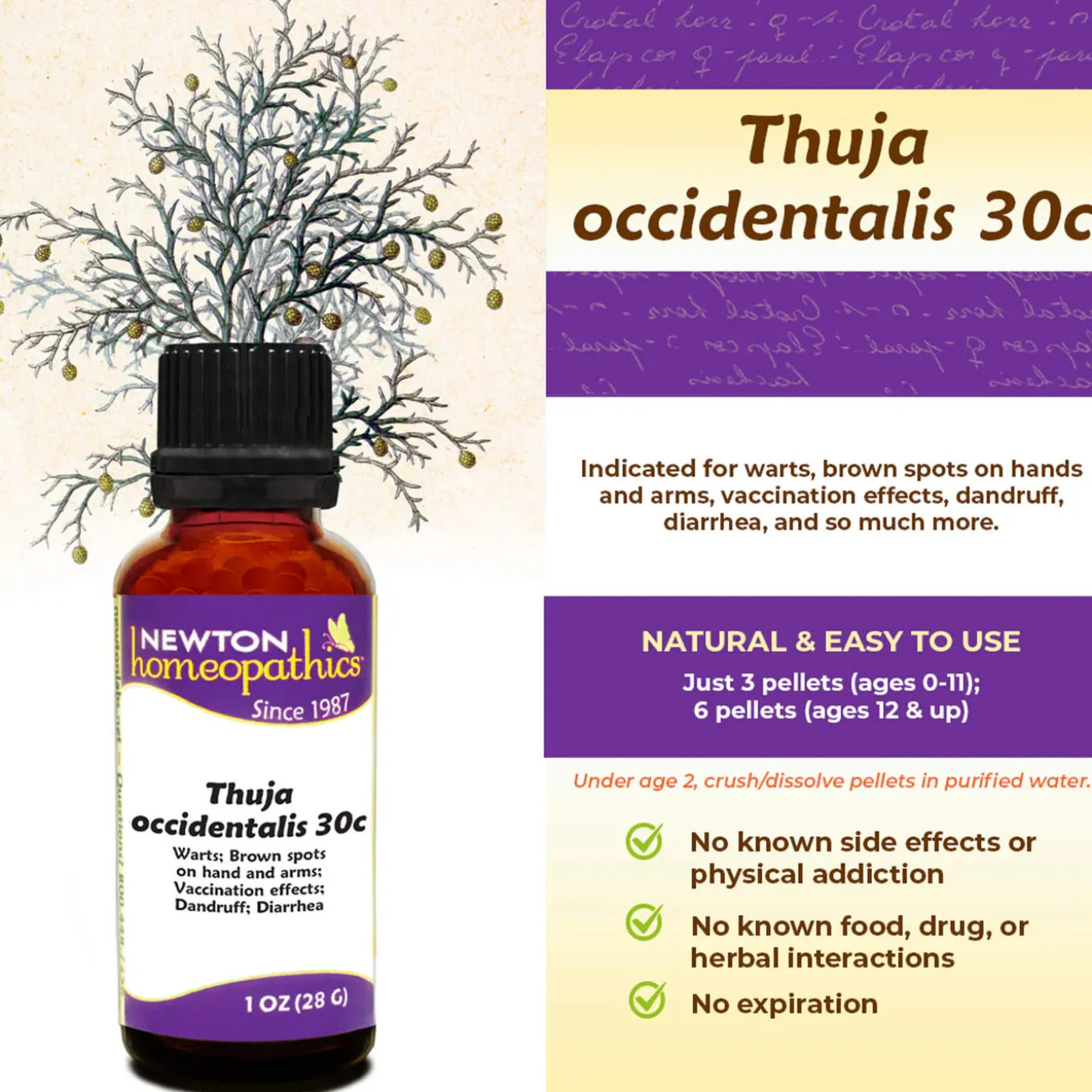 Newton Homeopathics Thuja for Dogs