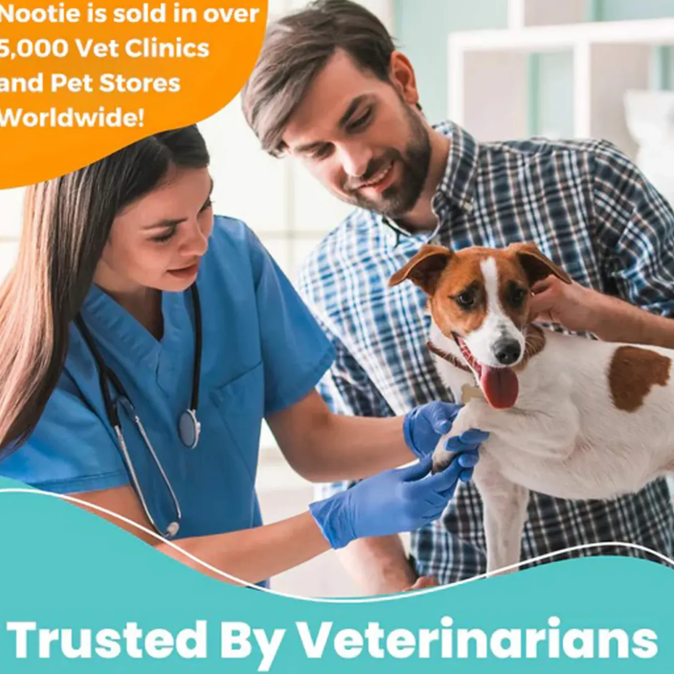 Nootie Progility Allergy & Immune Supplement for Dogs