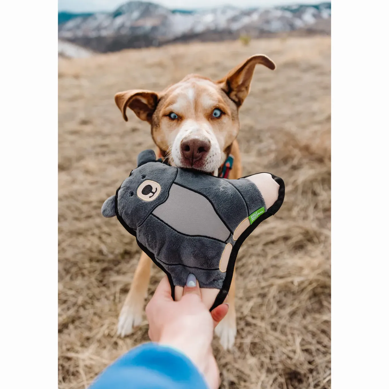 Only Natural Pet Mountain Friends Recycled Plush Dog Toys