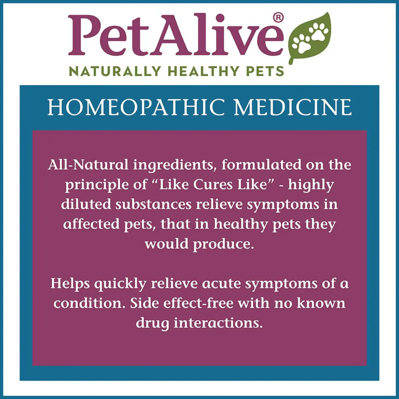 PetAlive ComfyPet Pain Relief Homeopathic Remedy for Dogs & Cats
