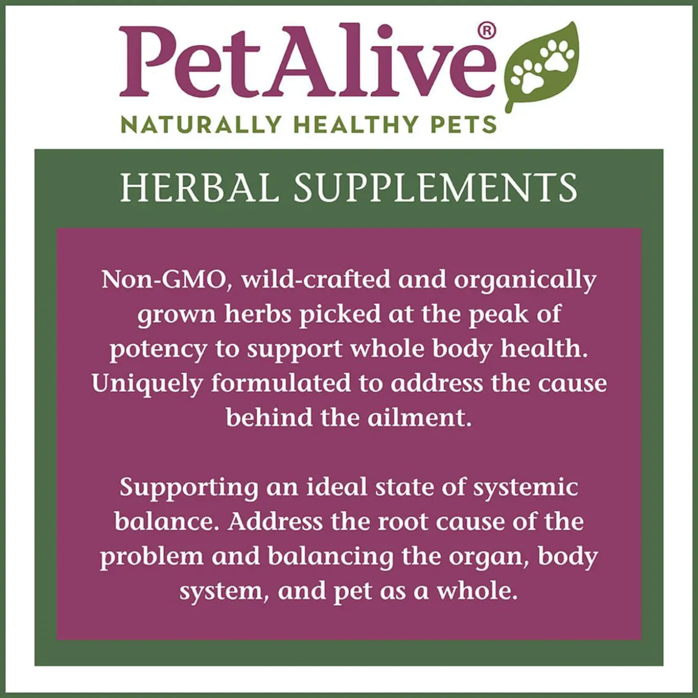 PetAlive GlucoEnsure Herbal Blood Sugar Support for Dogs & Cats