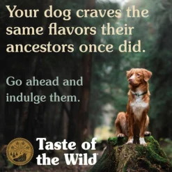 Taste of the Wild Grain-Free Canned Dog Food
