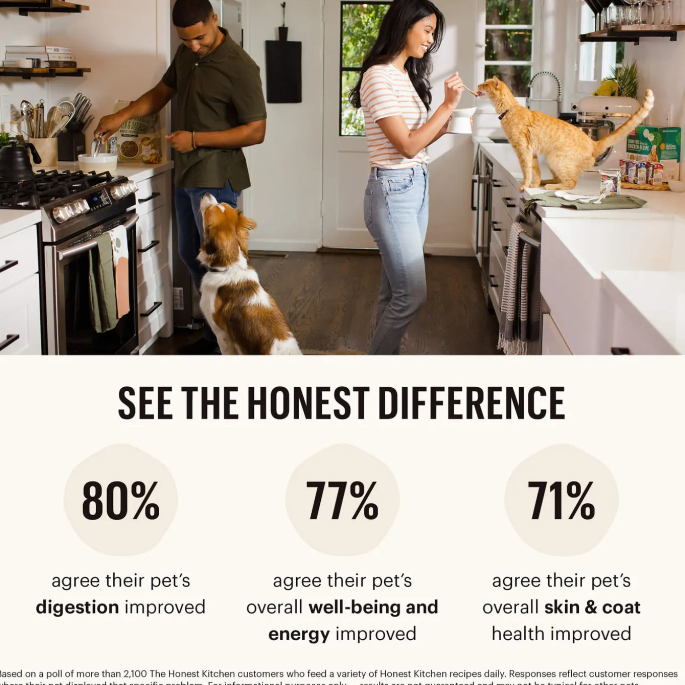 The Honest Kitchen Wholemade Grain Free Dehydrated Dog Food