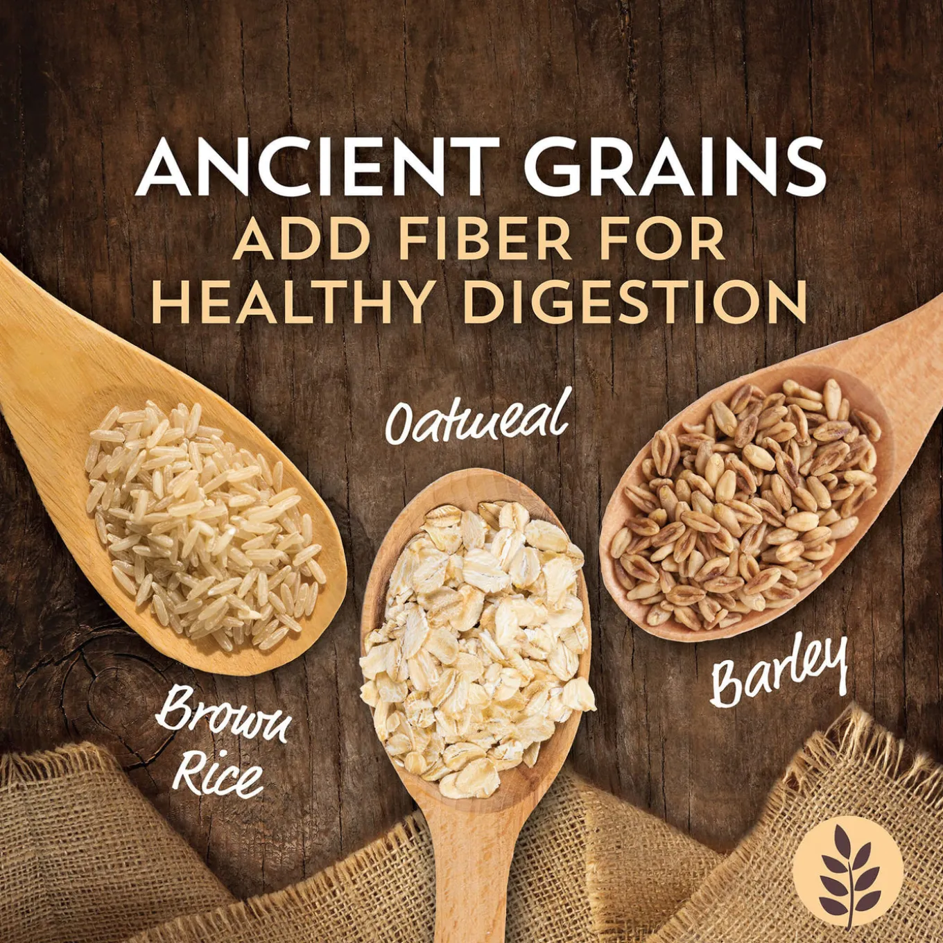 Wholesomes Sensitive Skin & Stomach Large Breed Dry Dog Food