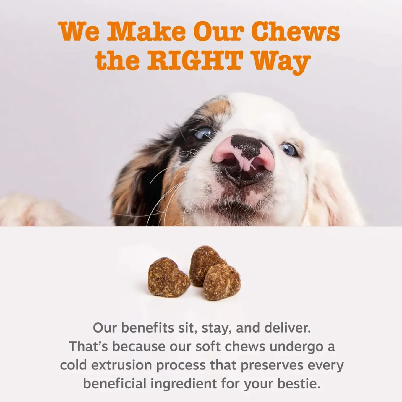 Zesty Paws Allergy & Immune Bites for Dogs