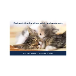 ZiwiPeak Daily Cuisine Grain-Free Canned Cat Food